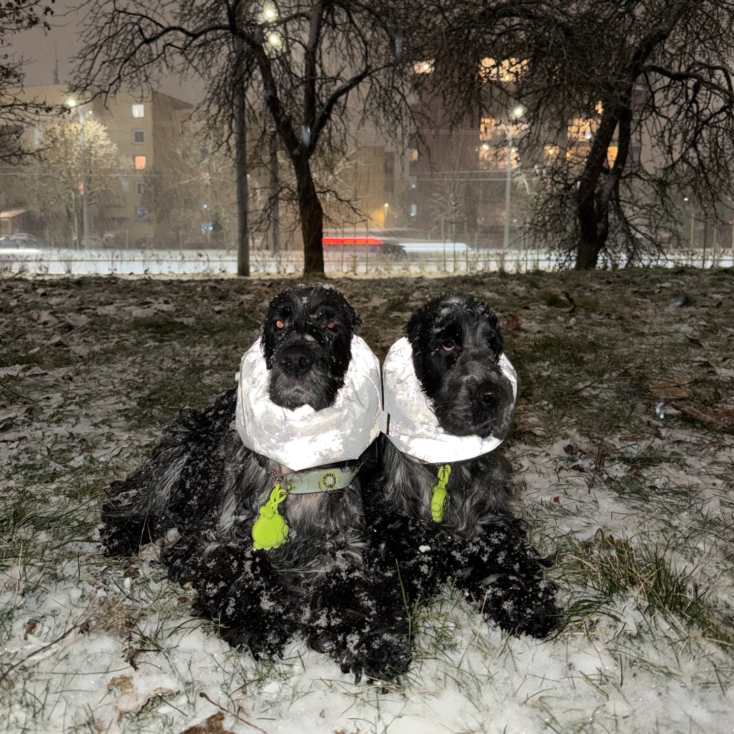 Atšvaitinis pašiltintas snoodas