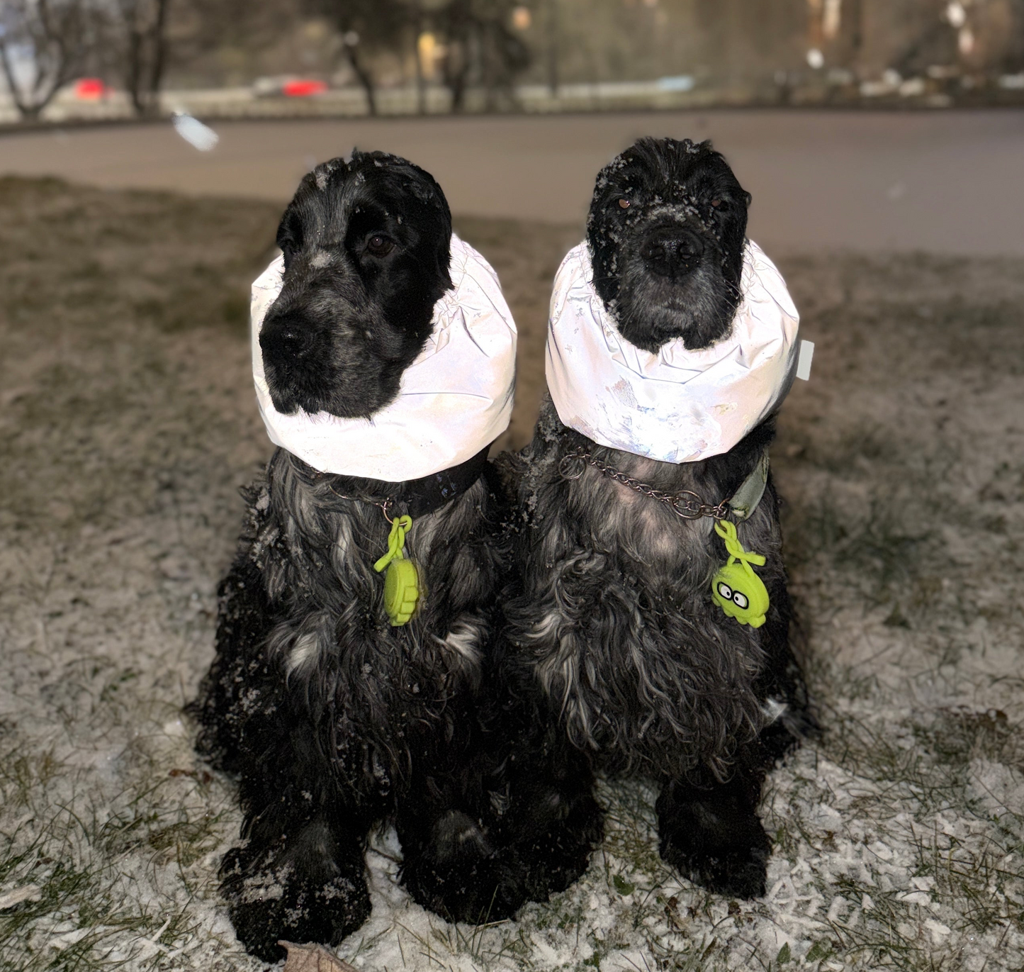 Atšvaitinis pašiltintas snoodas