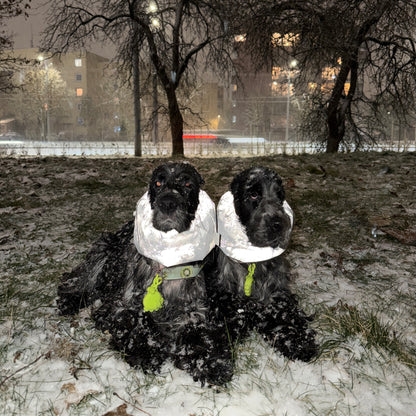 Atšvaitinis pašiltintas snoodas