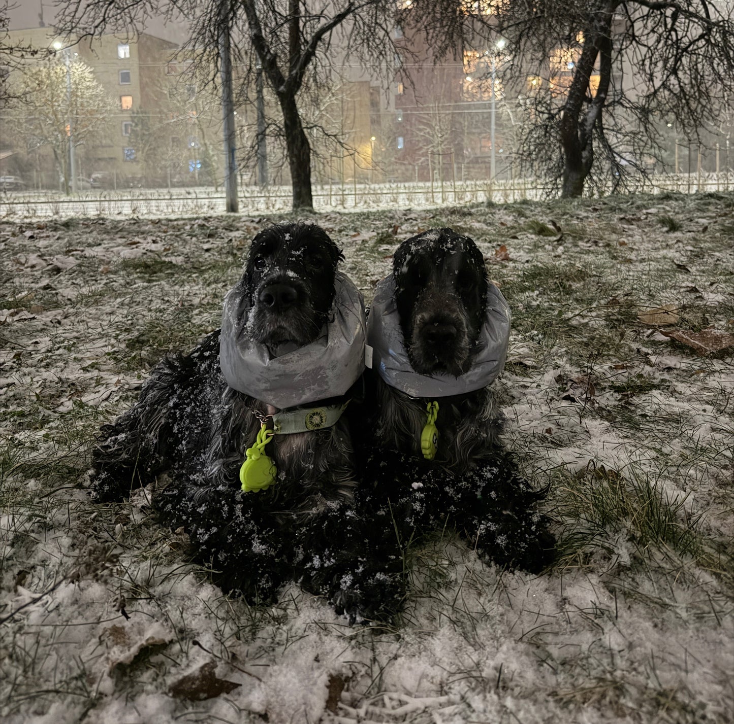 Atšvaitinis pašiltintas snoodas